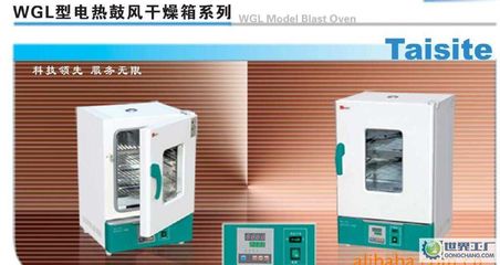 出口型鼓風干燥箱、WGL-30B烘箱、精密恒溫干燥箱_鼓風干燥箱 _世界工廠網